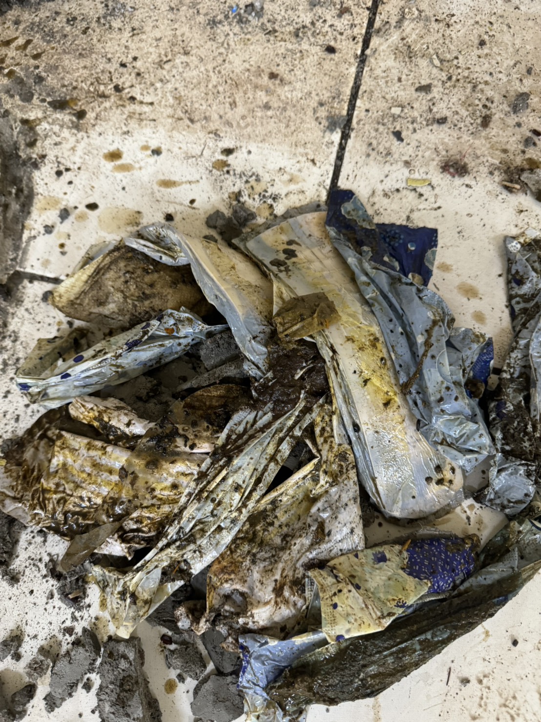 清理化糞池施工中2
