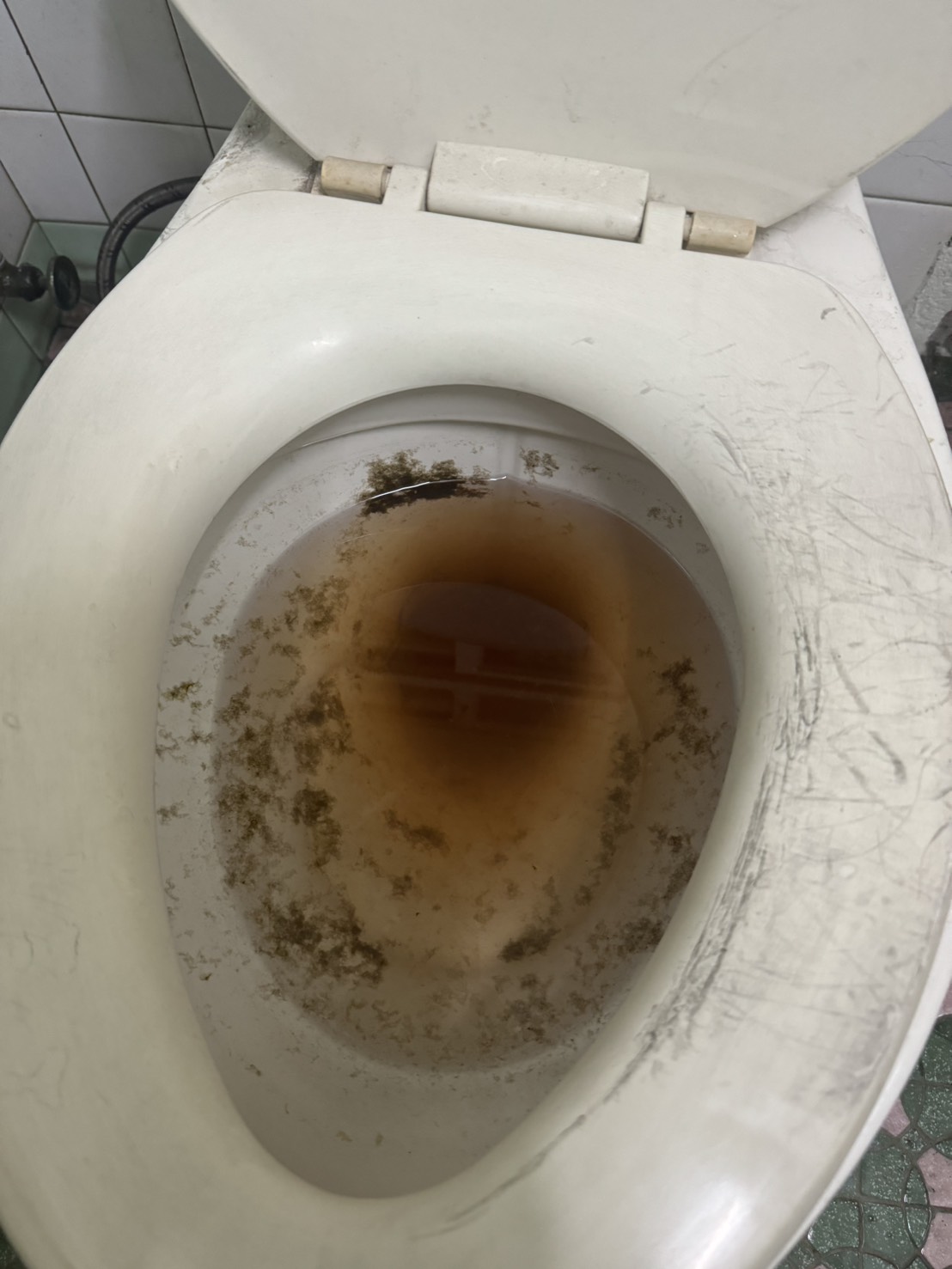 馬桶堵塞實際情況